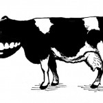 Felieton. PLEBISCYT MIEDZIANE USTA