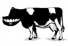 Felieton. PLEBISCYT MIEDZIANE USTA