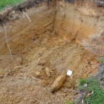 Niewybuch wstrzymał budowę ptaszarni