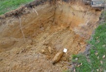 Niewybuch wstrzymał budowę ptaszarni