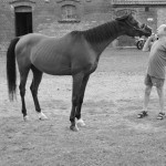 Odszedł Jerzy Dajnowski