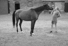 Odszedł Jerzy Dajnowski