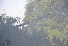 Pożar pod Miłoradzicami