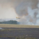 Pożar ścierniska pod Zaborowem