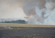 Pożar ścierniska pod Zaborowem