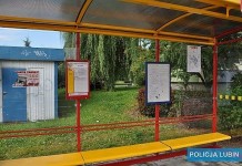 Kradł dla zysku i zniszczył wiatę