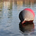 Śmierć w Rokitkach