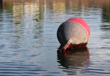 Śmierć w Rokitkach