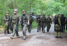 Znowu opanowali lasy