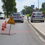 Na pasach koło działek