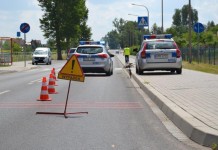 Na pasach koło działek