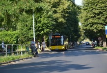 Bezpłatna komunikacja dotarła do Ścinawy