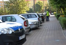 Zabójstwo na Modrzewiowej