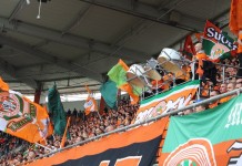 Termalica i Błękitni do ogrania