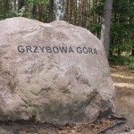 Szlak Polskiej Miedzi w renowacji