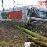 Ciężarówką do lasu