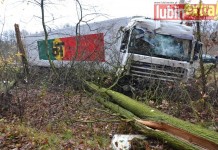 Ciężarówką do lasu