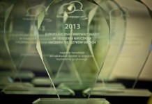 Lubińska „dziewiątka” wśród najlepszych