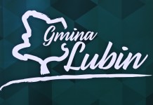 Gmina Lubin. Posprzątają “dzikie” wysypiska