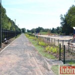 Przybywa dinozaurów i zieleni