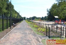 Przybywa dinozaurów i zieleni