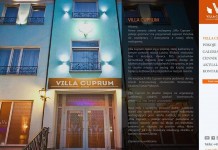 Róże z Villi Cuprum