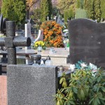 Akcja Znicz na start