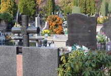 Akcja Znicz na start