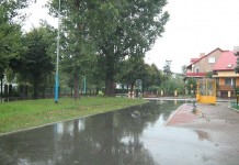 Samochód wjechał w drzewo