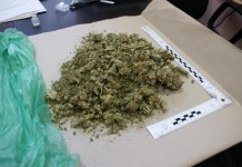 Zatrzymali dilera (VIDEO)