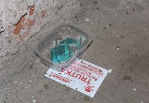 Deratyzacja w Lubinie