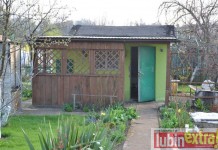 Seria włamań na Słoneczniku