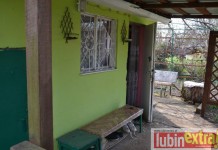 Nie daj się obrobić na działce