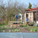 Stanowisko KZPZD w sprawie dostępu do działki w czasie epidemii fot. archiwum portalu