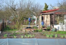 Stanowisko KZPZD w sprawie dostępu do działki w czasie epidemii fot. archiwum portalu