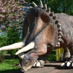 Felieton. Druga strona medalu