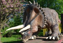 Felieton. Druga strona medalu