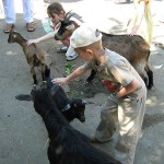 Śpieszmy się Ratować Maluchy!