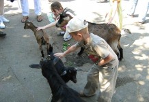 Śpieszmy się Ratować Maluchy!