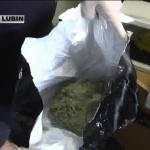 Uderzyli w narkotykową przestępczość (video)