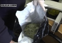 Uderzyli w narkotykową przestępczość (video)
