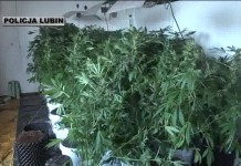 „Maryśka” Na własne potrzeby?