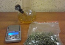 Miał 250 „działek”