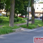 Niekoszona rośnie w najlepsze