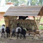 Ponad 600 tys. osób odwiedziło Park w 2015 roku