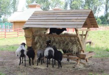 Ponad 600 tys. osób odwiedziło Park w 2015 roku