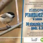 Zimowe ptakoliczenie i parkrun