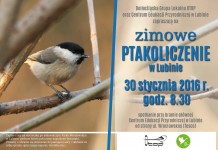 Zimowe ptakoliczenie i parkrun