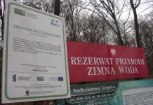 Natura 2000 w gminie Lubin