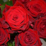 Kradzież dla kobiety